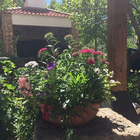 Casas Rurales La Huerta Otel Salobre  Dış mekan fotoğraf
