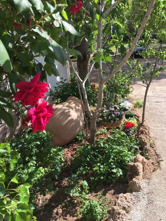 Casas Rurales La Huerta Otel Salobre  Dış mekan fotoğraf