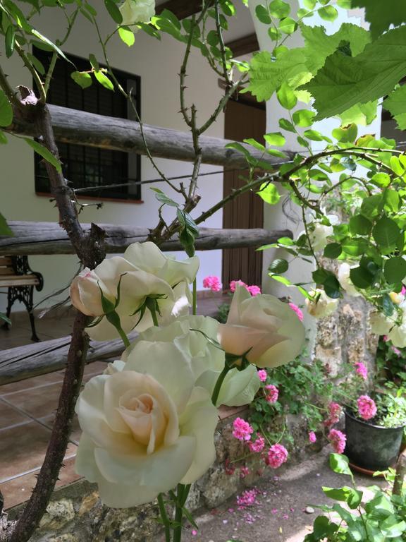 Casas Rurales La Huerta Otel Salobre  Dış mekan fotoğraf