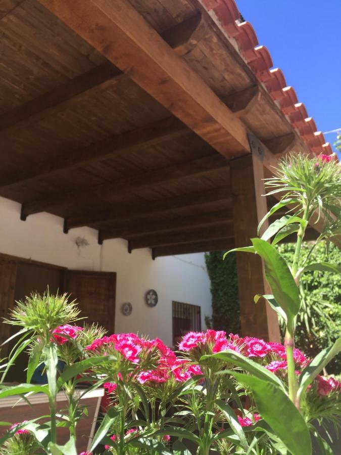 Casas Rurales La Huerta Otel Salobre  Dış mekan fotoğraf