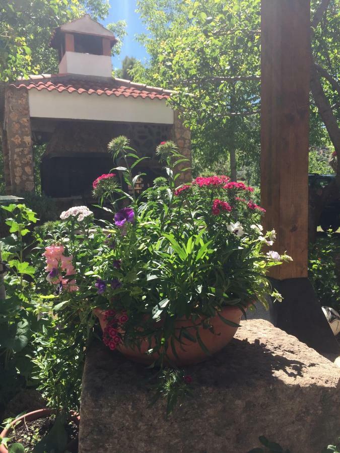 Casas Rurales La Huerta Otel Salobre  Dış mekan fotoğraf